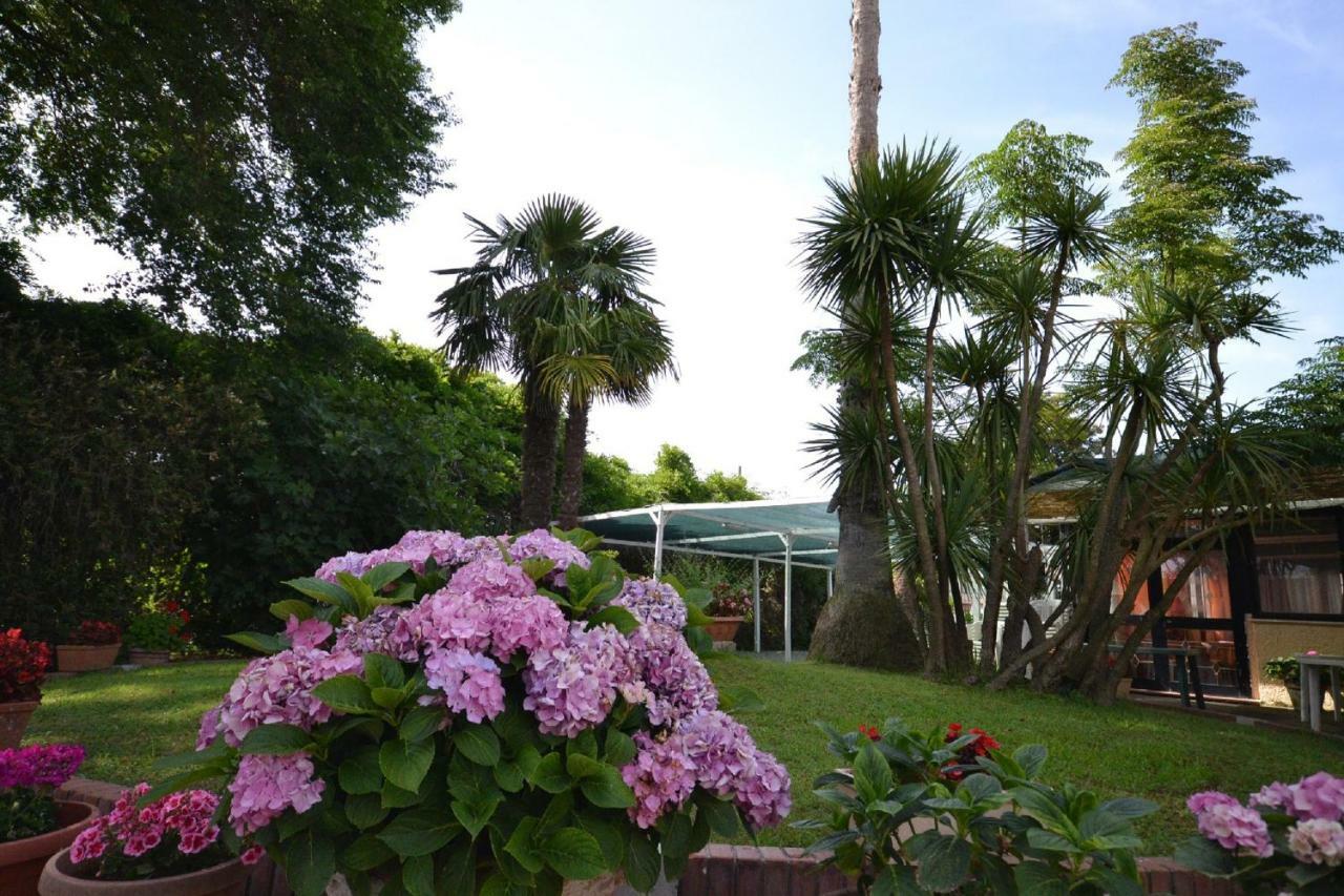 Il Piccolo Nido Bed and Breakfast Borgo Montenero Buitenkant foto